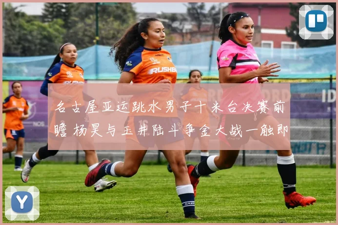 名古屋亚运跳水男子十米台决赛前瞻 杨昊与玉井陆斗争金大战一触即发