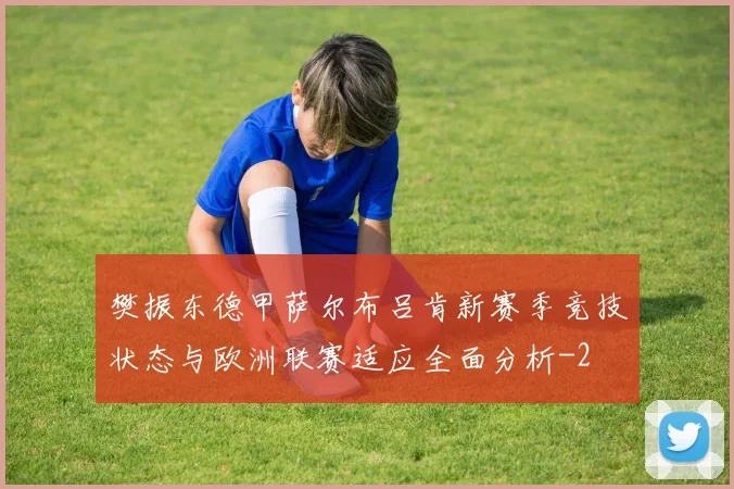 樊振东德甲萨尔布吕肯新赛季竞技状态与欧洲联赛适应全面分析