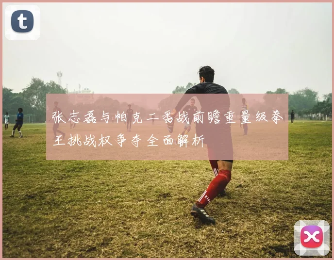张志磊与帕克二番战前瞻重量级拳王挑战权争夺全面解析