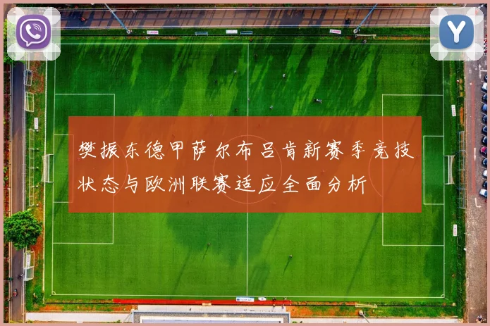 樊振东德甲萨尔布吕肯新赛季竞技状态与欧洲联赛适应全面分析